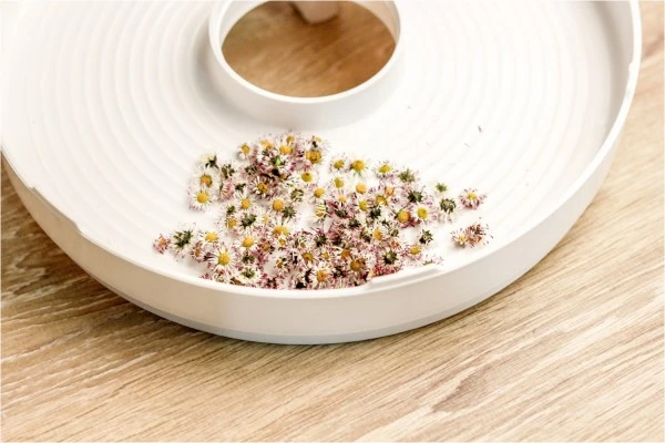 Dampfgarer & Reiskocher Rommelsbacher DA 750 Dörrautomat Weiß 3 Dampfgarer & Reiskocher Rommelsbacher DA 750 Dörrautomat Weiß – Bild 3